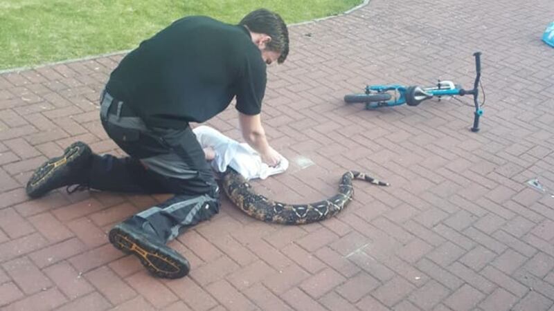 Bruce Baker had returned from shopping with three of his children when they discovered the boa constrictor in Innerleithen, Scottish Borders.