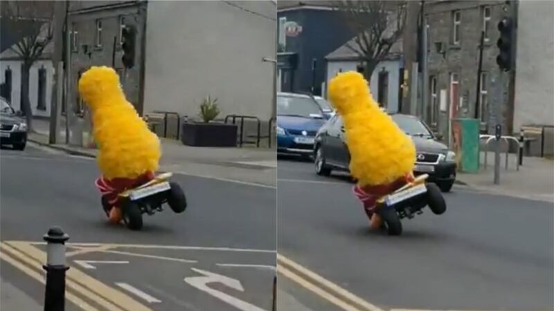 “They may have closed the pubs, they may have closed the schools, but nothing is stopping Big Bird doing wheelies…”