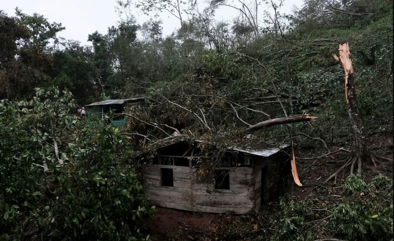 Fallen branches have damaged a house in Siuna, Nicaragua, after&nbsp;Hurricane Iota tore across the country. Picture by&nbsp;Carlos Herrera, AP