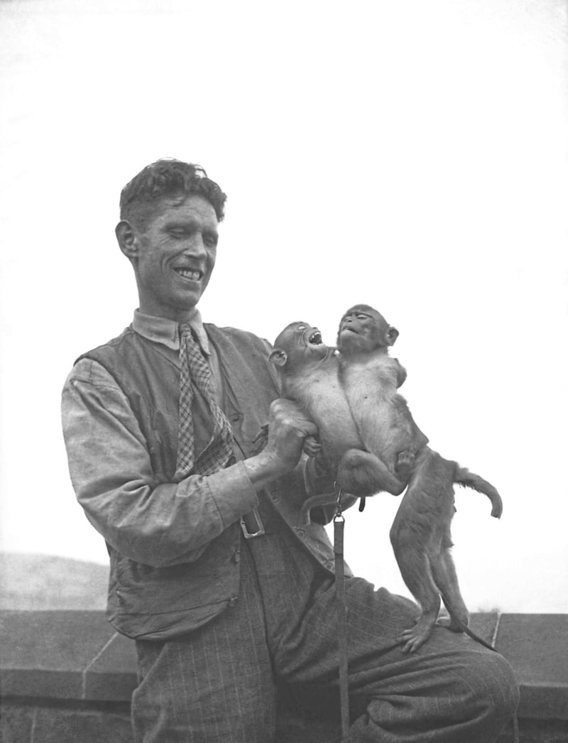 1948 - Head keeper John Mitchell holds young monkeys 