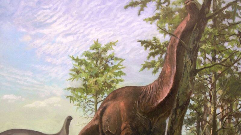 The findings suggest the long-necked animals may have had a different physiology from other dinosaurs.