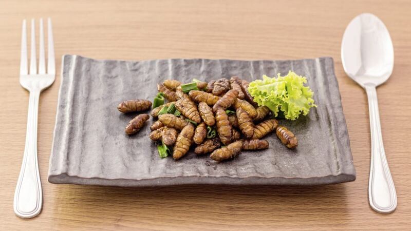 The likes of fried wood worm larvae could be on the menu sooner than you think 