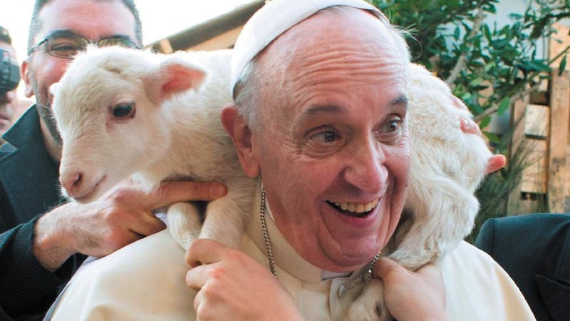 Pope Francis has shown himself to be a different sort of shepherd of the Catholic Church than his predecessors 