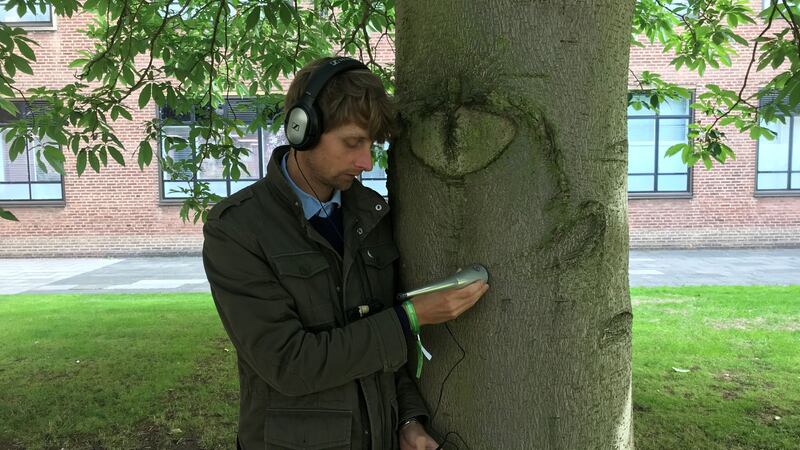 Visitors to the science festival at the University of Hull get a chance to hear what goes on beneath the bark of a tree.