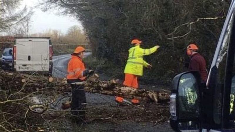 Storm Atiyah led to trees being felled in Co Kildare. Picture by RT&Eacute; 