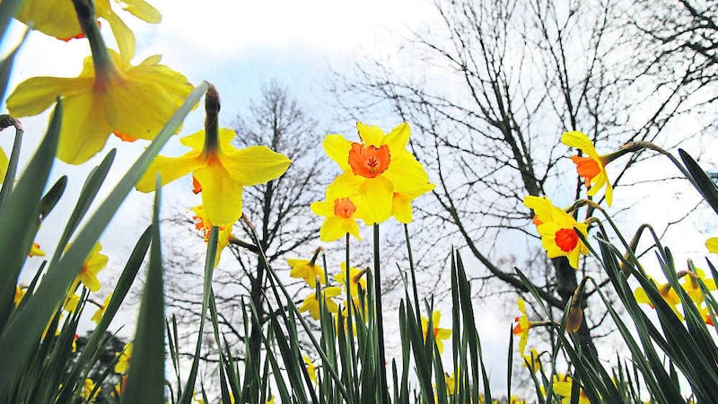 chilly: Last month was the coldest April since 1989 					             Picture: Hugh Russell 