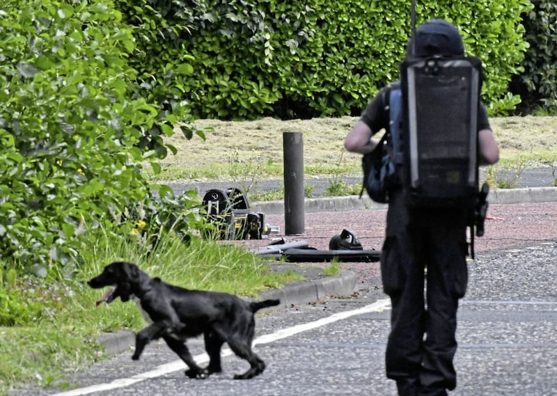 Army bomb squad members with an explosives sniffer dog clear the area in Craigavon 