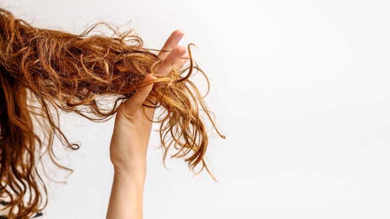 Hard water can cause your hair to become dry and brittle