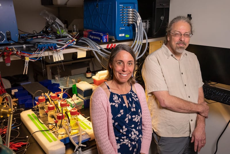 Rice University synthetic biologists Caroline Ajo-Franklin and Joff Silberg 