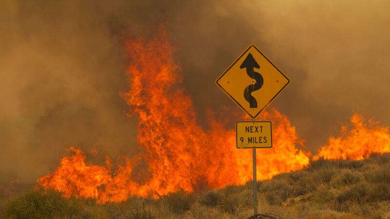 Flames rise from the York Fire in the Mojave National Preserve, California (AP)