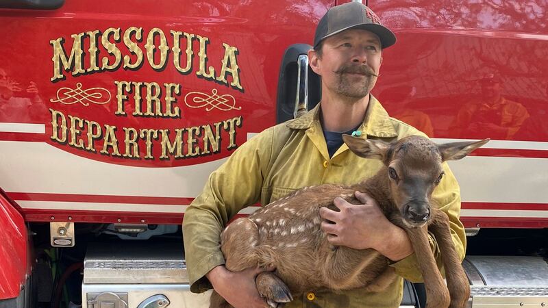 It comes as calving season approaches its peak in New Mexico and fires rage across the American west.