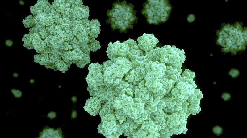 The Norovirus has caused several schools to be shut  