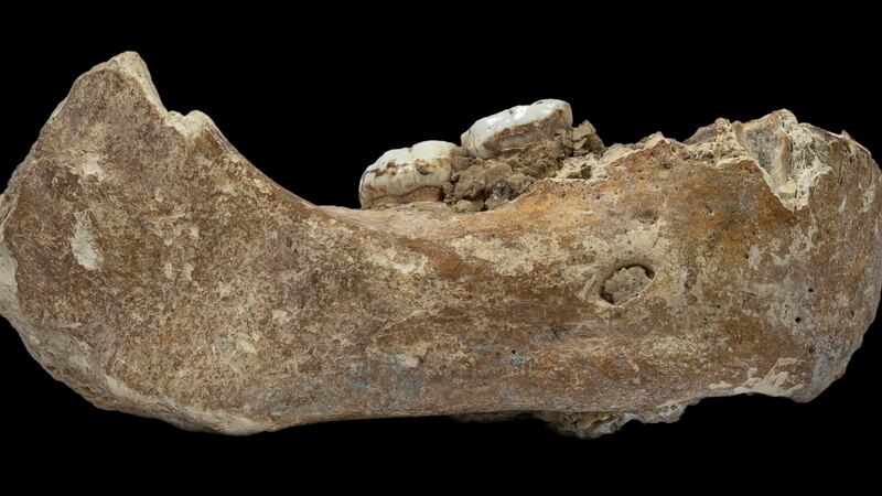 A jawbone from a Chinese cave is the earliest evidence of a human species living on the Tibetan plateau.