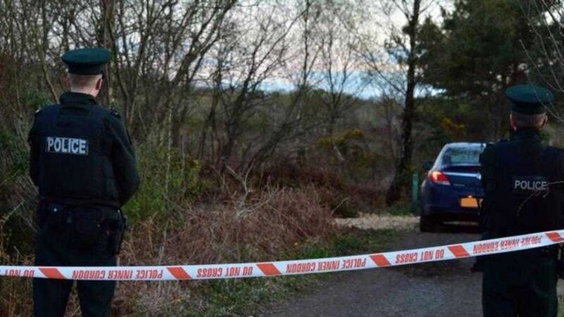 Peatlands Park near Dungannon, the scene of a serious sexual attack on Wednesday afternoon. Picture by Mal McCann 