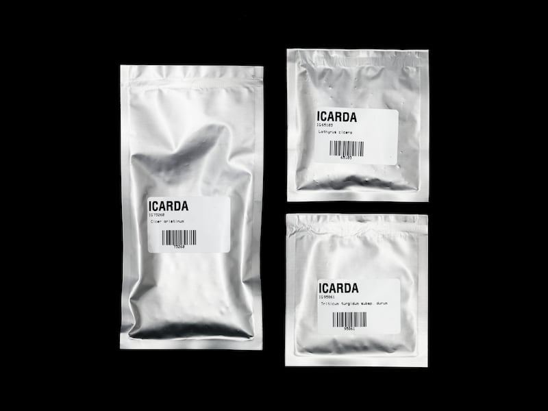 ICARDA seeds from Svalbard Global Seed Vault, 2019