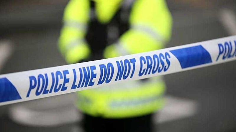 The pensioner was found dead in a car which crashed into a garden in Co Down 