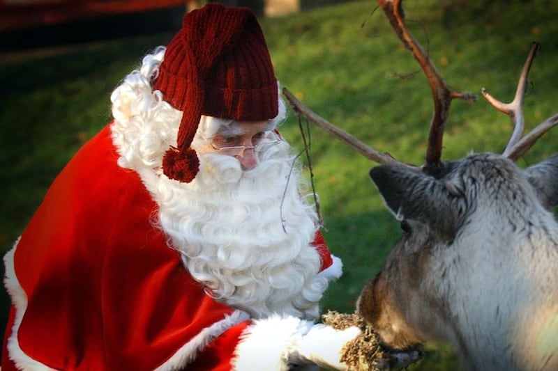 Why the other reindeer probably weren’t laughing at Rudolph’s red nose