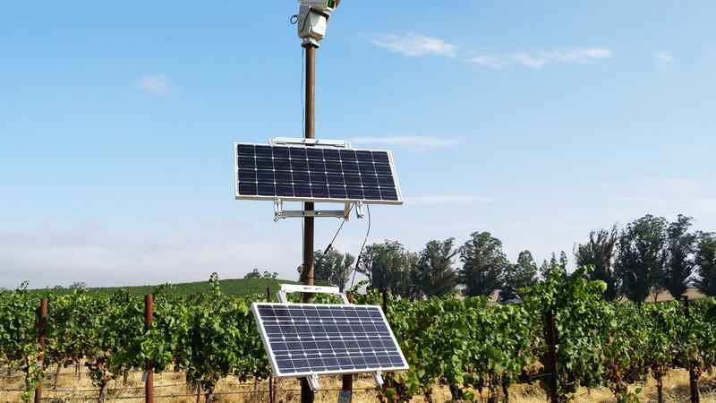 The solar-powered devices have been installed on a 21-acre vineyard.
