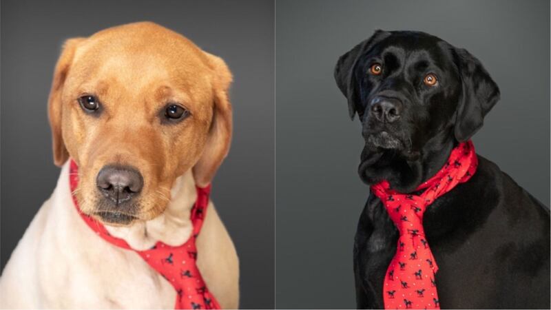 The pair wore ties for their photoshoot.