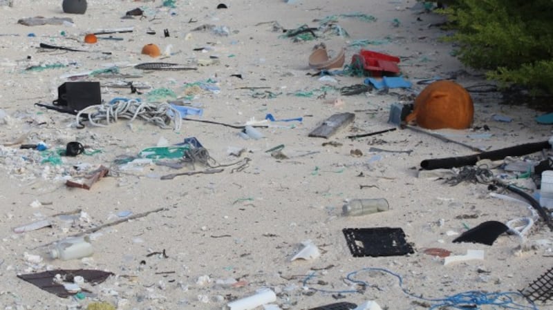 The beach with litter