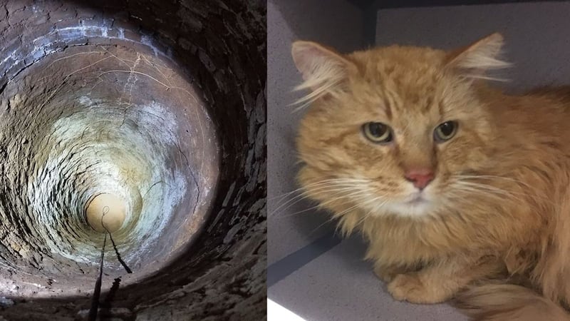 The police department billed the story as ‘an old well, a stuck cat and a crazy rescue’.