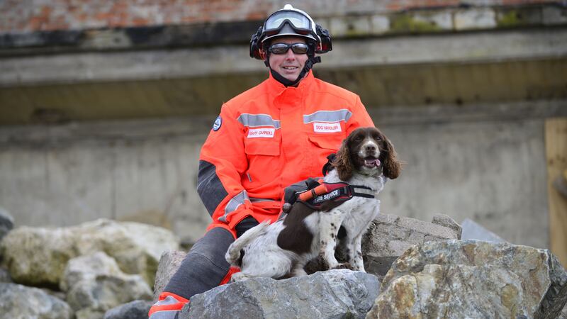 The 10-year-old springer spaniel was given the Animal of the Year award at the International Fund for Animal Welfare awards.