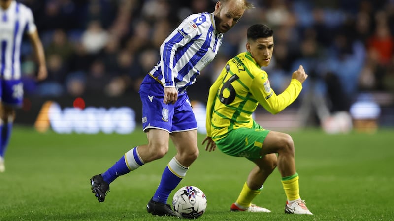 Sheffield Wednesday battled back from two goals down to draw 2-2 with Norwich