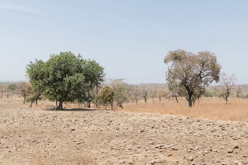 Degraded forest and land in West Gonder, Ethiopia (Maheder Haileselassie/Tree Aid/PA)