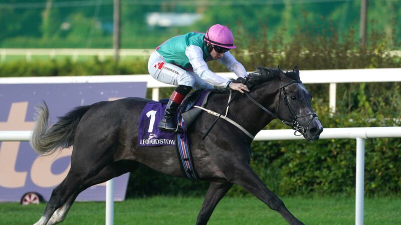 Waltham has won both his previous starts at Leopardstown and can strike again in the Vinnie Roe Stakes. Picture by PA