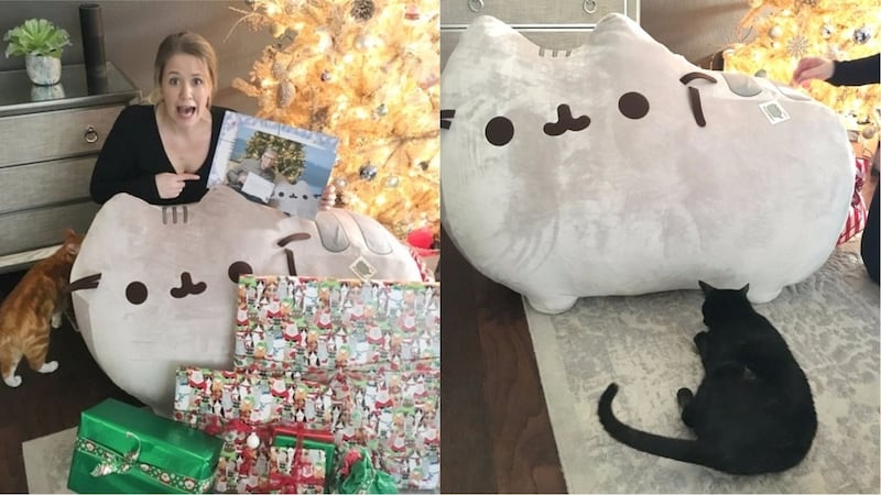What a purr-fect set of presents.