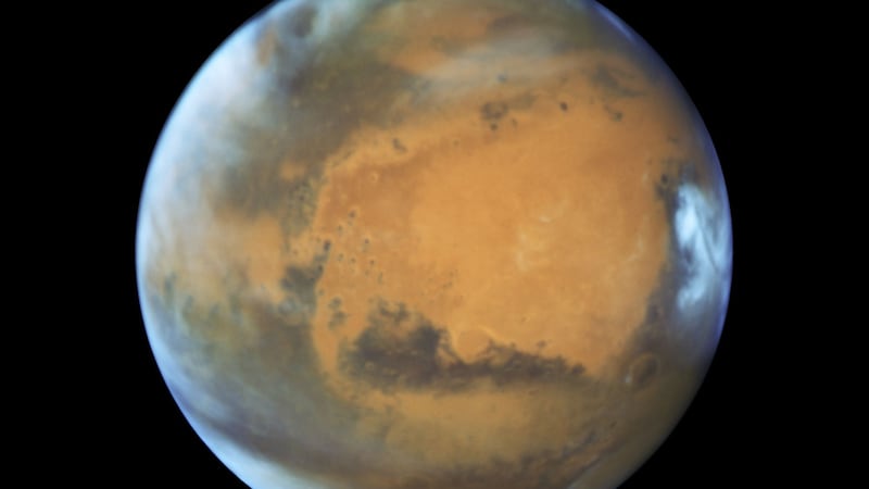 The Mars Express space craft discovery greatly increases the chances of primitive life surviving on the Red Planet.