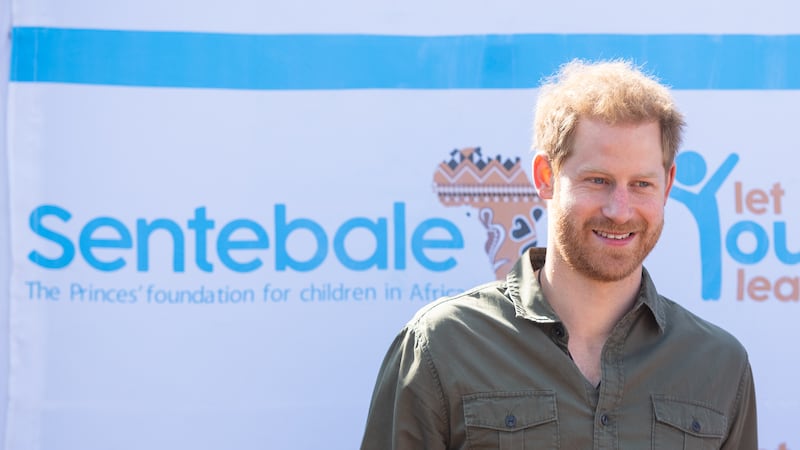 Harry co-founded the Sentebale charity in 2006