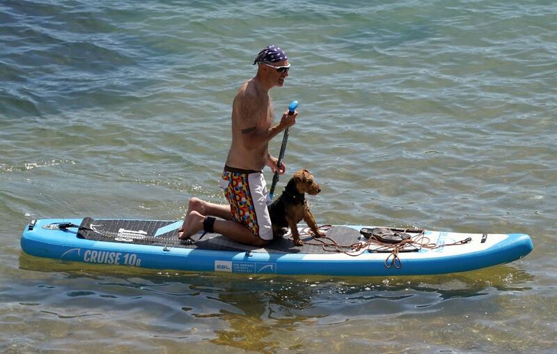 A person paddleboards with their dog in the sea near to Durdle Door 