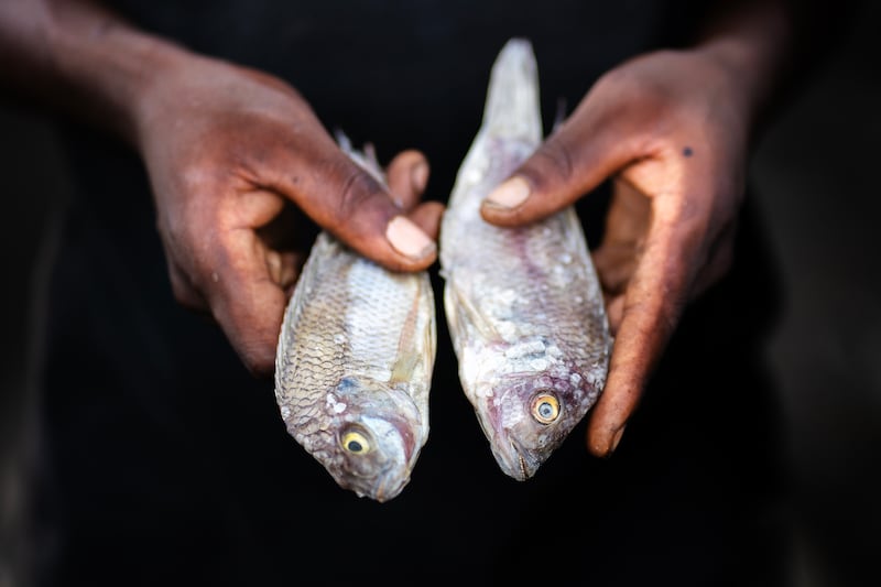 A man displays fish on the shores of Lake Chilwa.