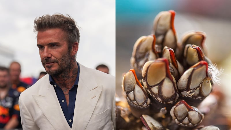 David Beckham has been pictured eating percebes