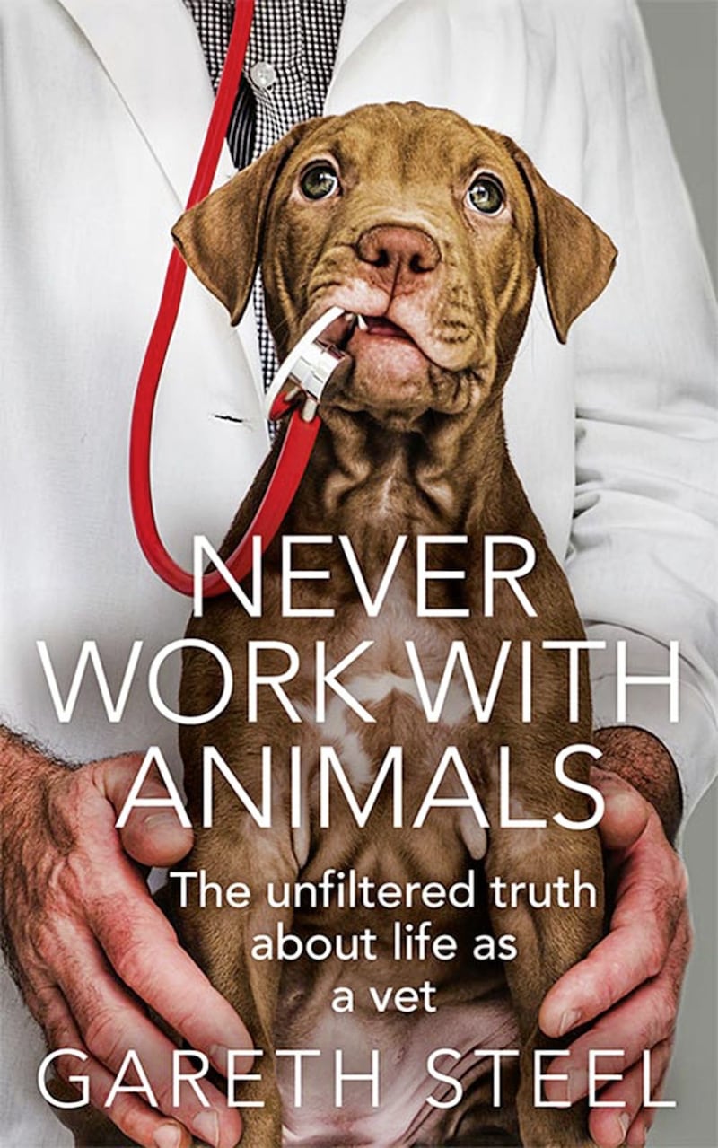 Never Work With Animals by Gareth Steel 