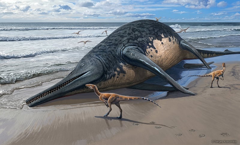 An image shows a washed-up Ichthyotitan severnensis carcass on the beach