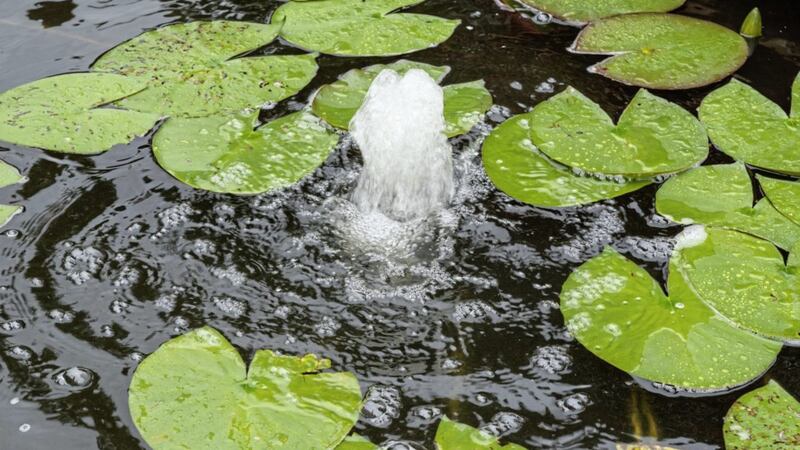 Run a fountain once or twice a week to keep it the pond aerated 