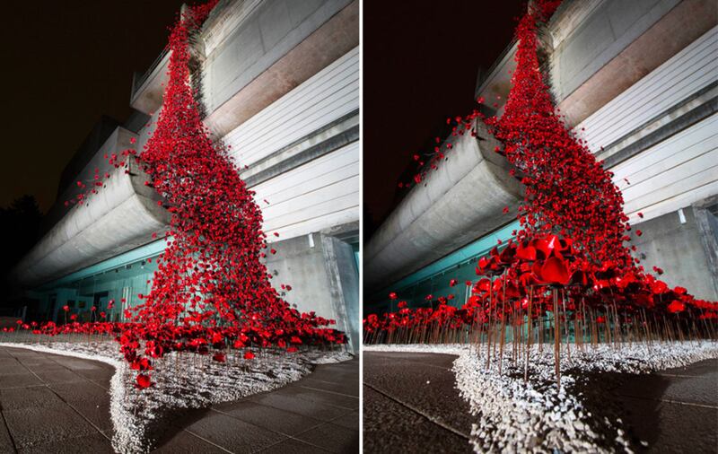 The poppies will be at the Ulster Museum until 3 December&nbsp;
