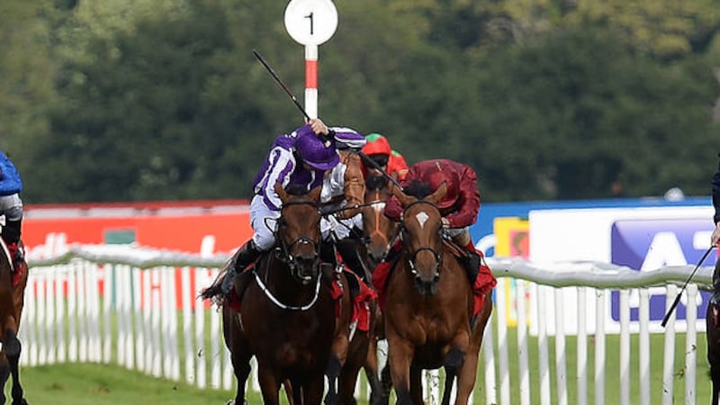 Bondi Beach ridden by Colm O'Donoghue (left) and Simple Verse ridden by Andrea Atzeni ride close together, leading to a stewards enquiry, during the Ladrokes St Leger at Doncaster Racecourse in 2015&nbsp;