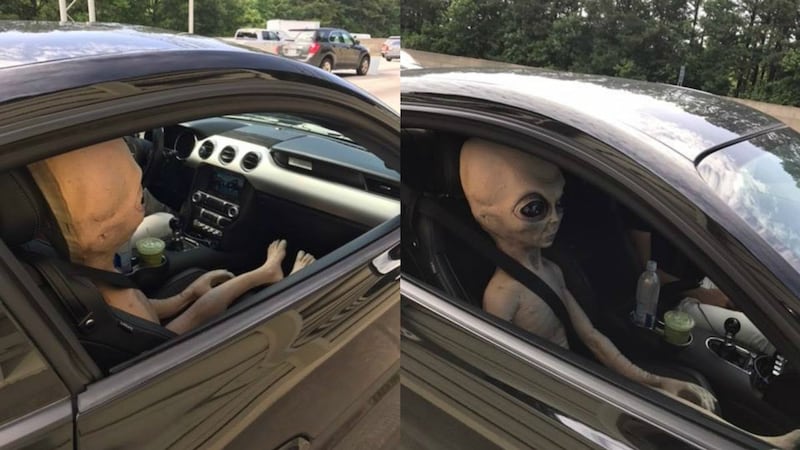 The “alien” was even wearing its seat belt.