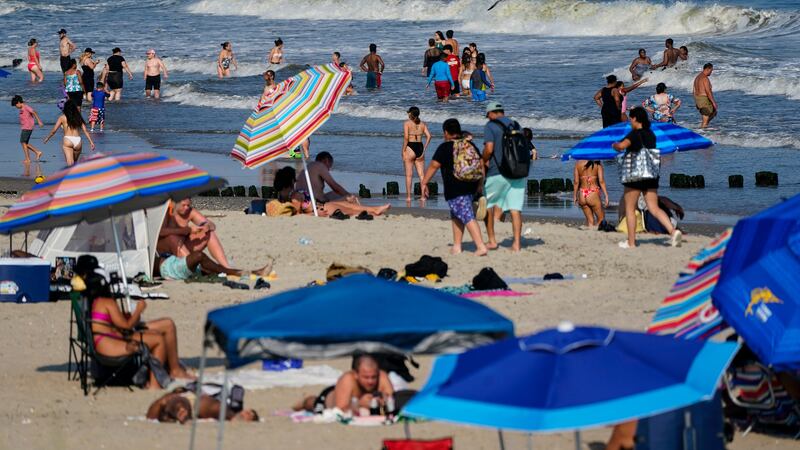 A woman was bitten by a shark off Rockaway beach (Frank Franklin II/AP)