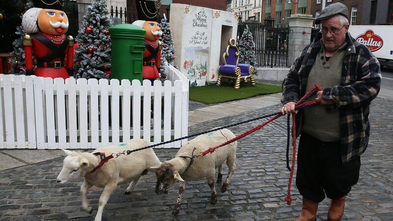 The animals and Nativity scene will be housed in the Summer House in St Stephen’s Green Park from December 8.