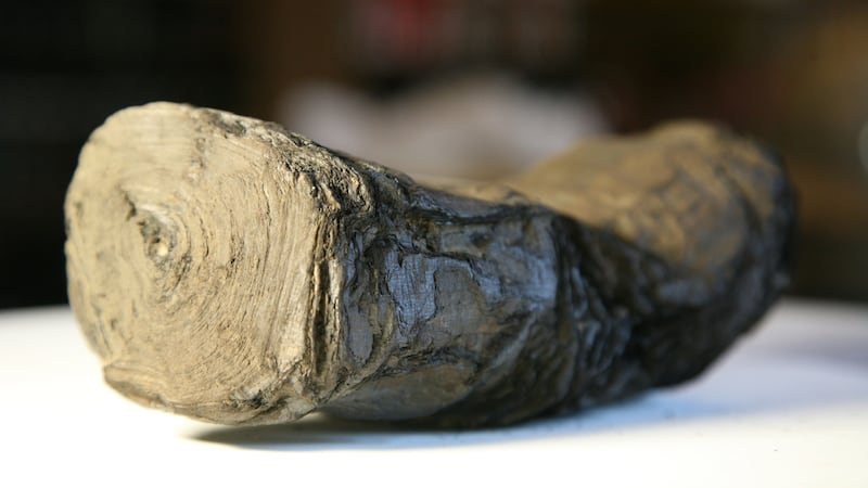 The 2,000-year-old Herculaneum scrolls were buried when Mount Vesuvius erupted in 79 AD.