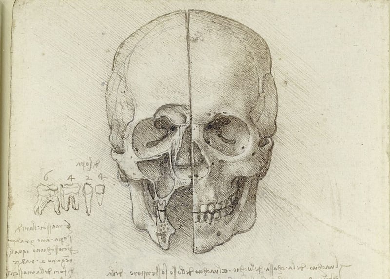 A drawing of a dissected skull to feature in an exhibition of Leonardo da Vinci drawings in the Ulster Museum. Picture from Royal Collection Trust / &copy; Her Majesty Queen Elizabeth II 2018
