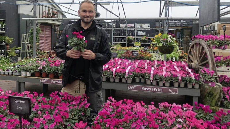 Jeff Meredith recommends heather and cyclamen for the garden at this time of year 