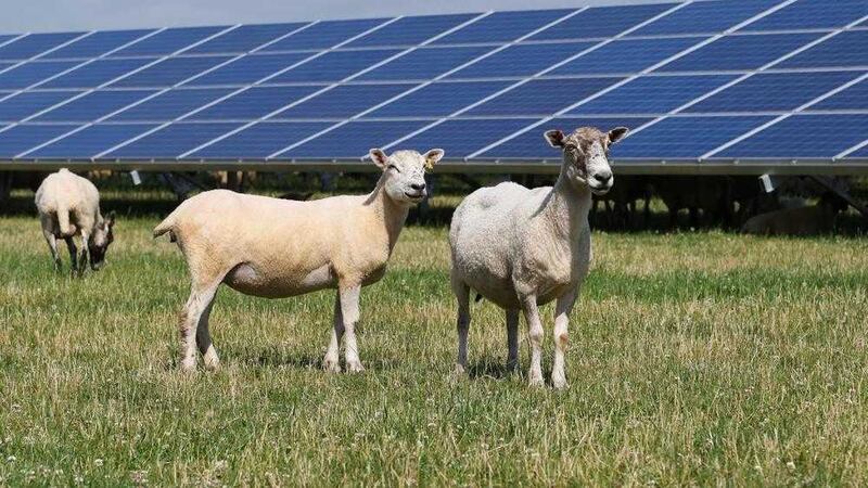 The solar farm outside Antrim will provide 27 per cent of Aldergrove&#39;s electricity demand 