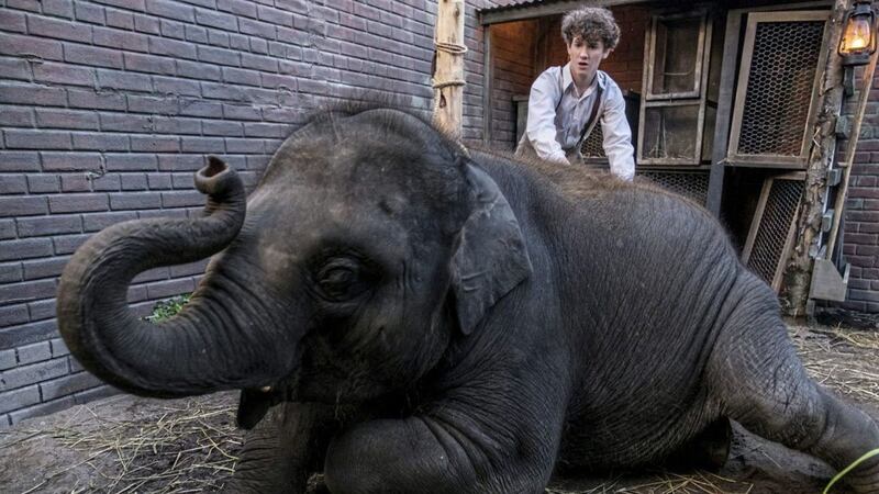 Art Parkinson and Nellie the elephant star in Zoo 