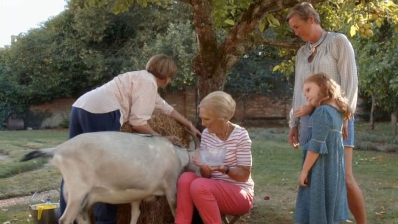 Mary Berry struggled to milk a goat on her latest cooking show.