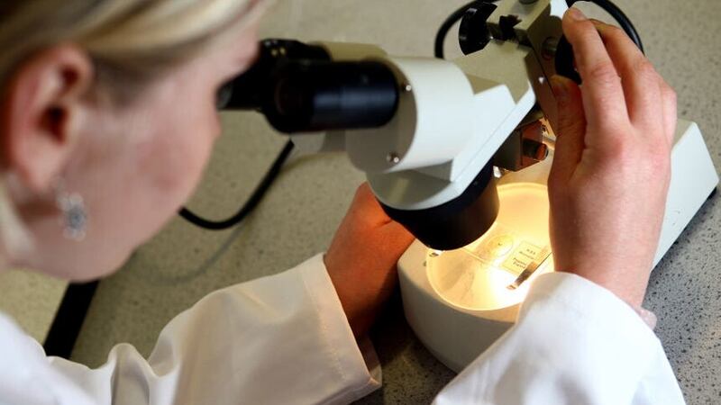 A breakthrough could lead to new obesity treatments, study suggests (David Davies/PA)